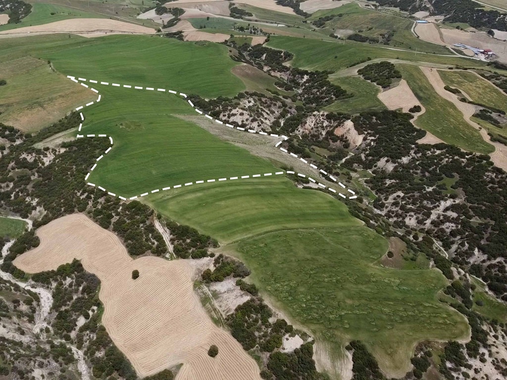 54,649 sqm Prime Agricultural Land Ready for Olive Cultivation